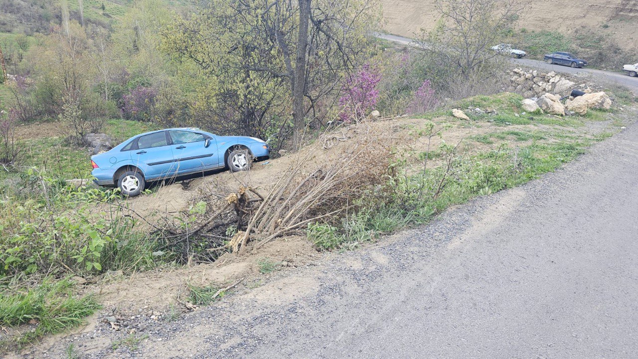 Kahramanmaraş'ta Otomobil Ağaca Çarptı: 1 Yaralı