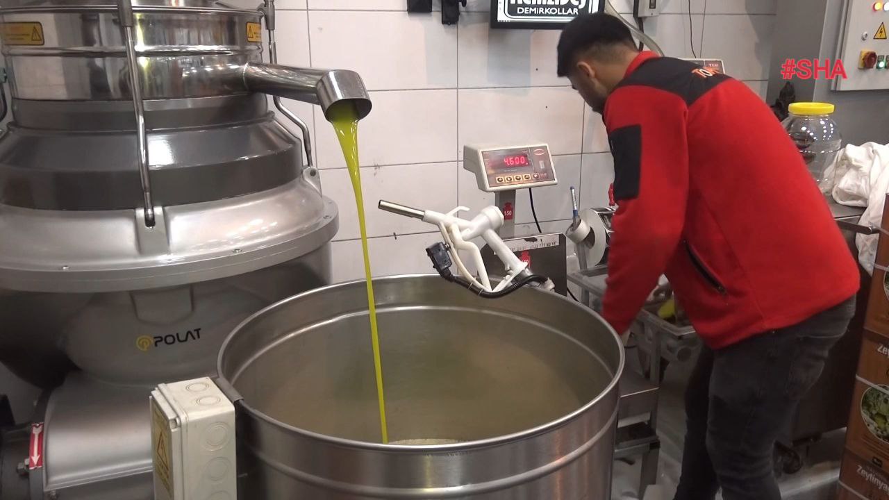 Kahramanmaraş’ta Deprem Sonrası 15 Bin Ton Zeytinyağı Üretimi