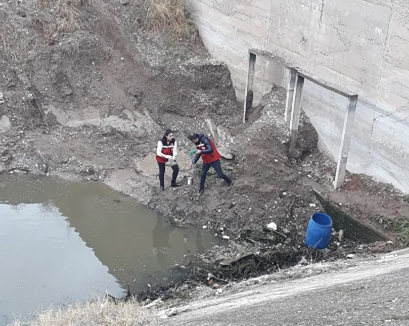 Kahramanmaraş'ta Balık Ölümlerinin Sebebi Belli Oldu: Kuraklık!