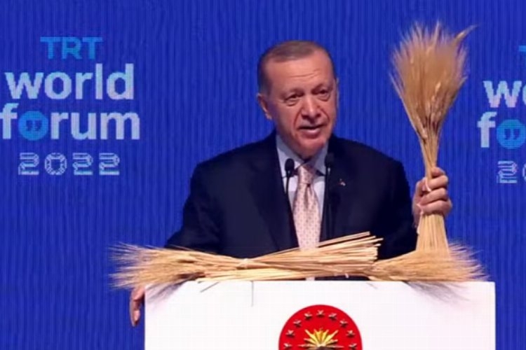 Cumhurbaşkanı Erdoğan Tahıl krizi için Putin'le görüşecek