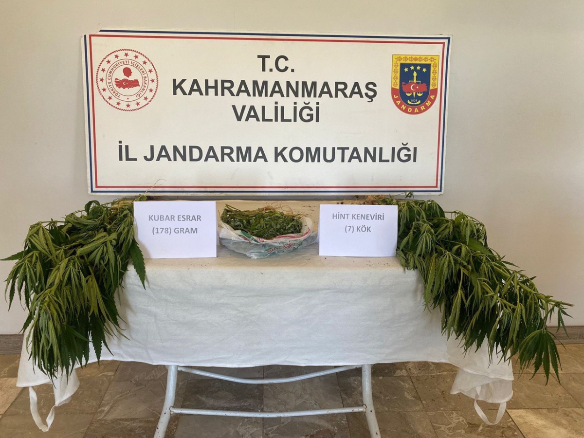 Kahramanmaraş'ta Evinde Uyuşturucu Yetiştirdi Yakalandı