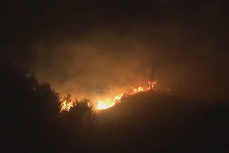 Bingöl’de orman yangını kontrol altına alındı