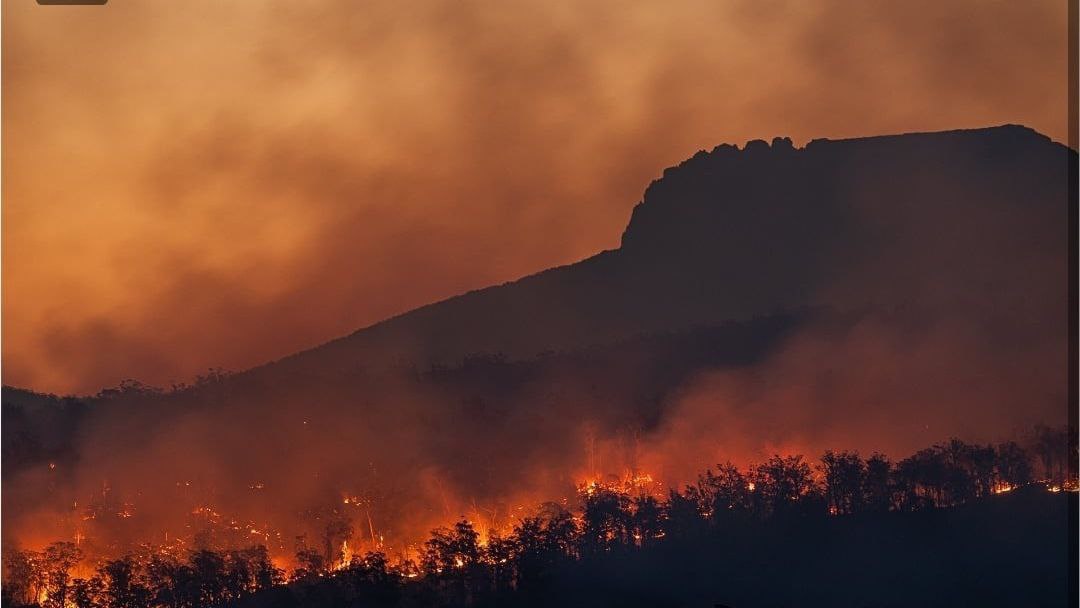 Orman yangınlarının yüzde 89’u insan kaynaklı!