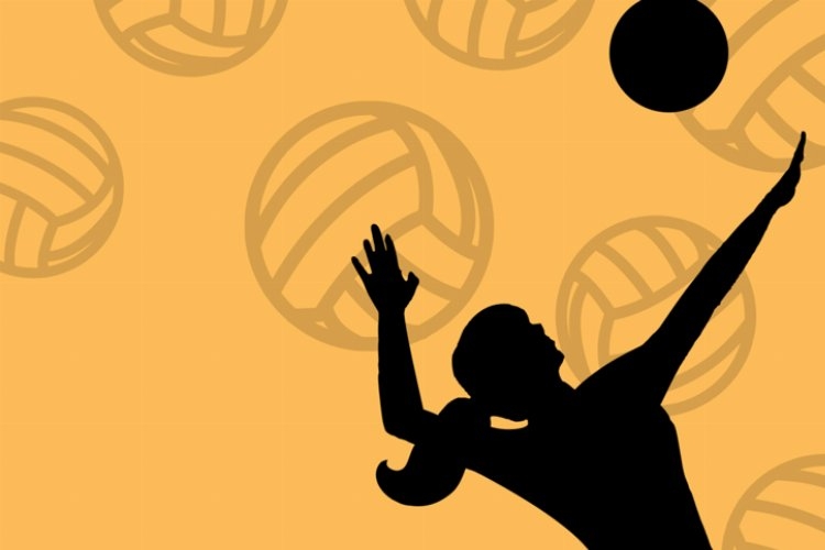 Şampiyonluk voleybol taleplerini yüzde 700 arttırdı!
