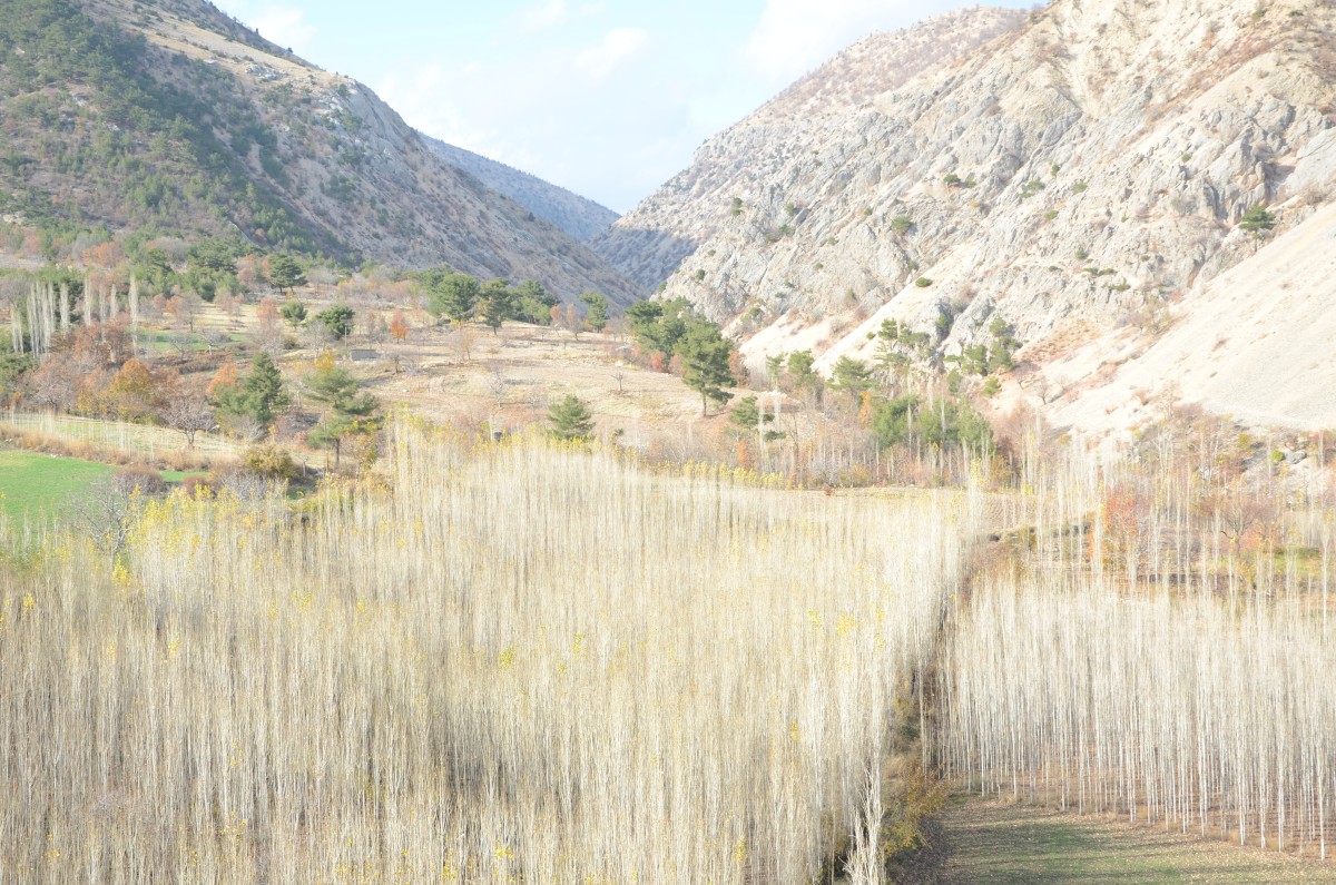 Kahramanmaraş'a Yeni Baraj: Kısık Barajı İnşaatına Başlandı!