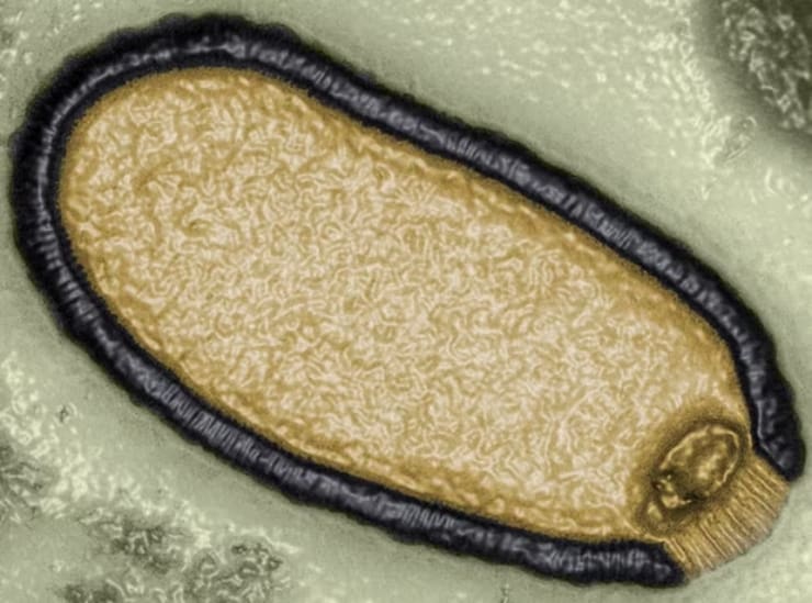 Bilim İnsanlarından 'Zombi Virüs' Uyarısı: Yeni Salgın Tehdidi!